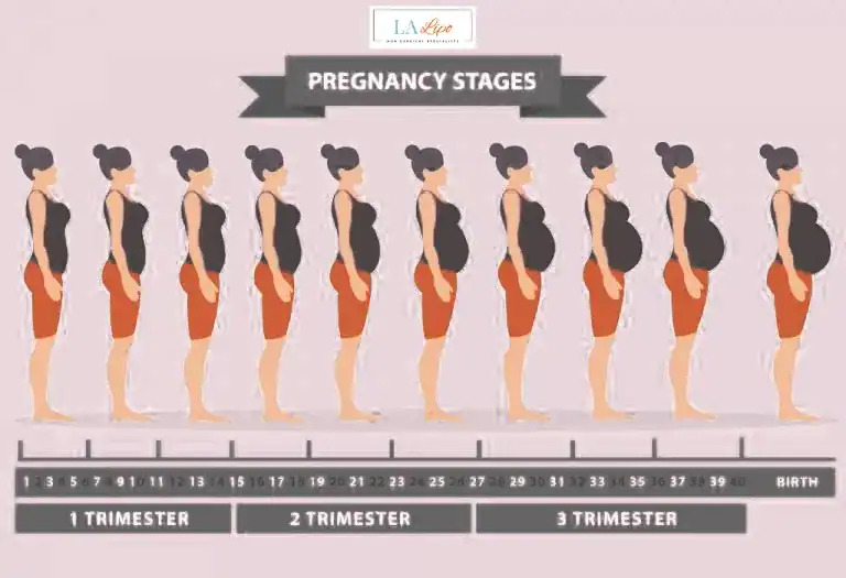 First Trimester (Weeks 1–12): Early Changes You Might Not Notice St Albans